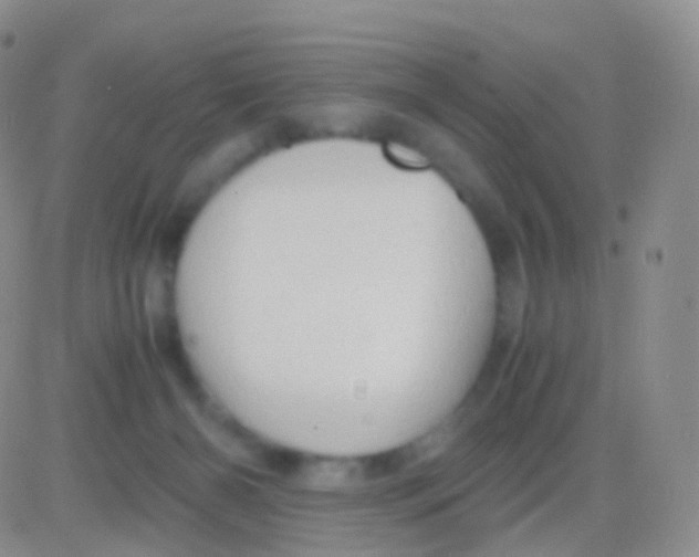 X0000083060126200702232031