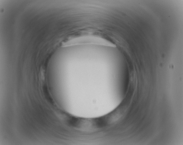 X0000083060127200702232031