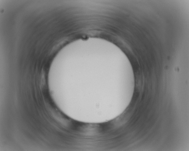 X0000083060128200702232031