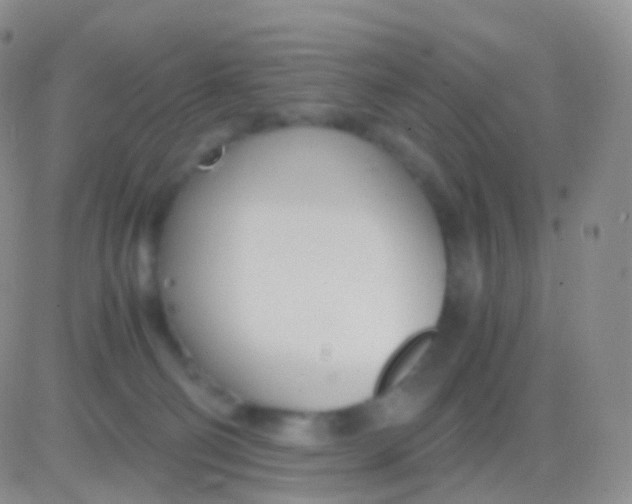 X0000083060130200702232031