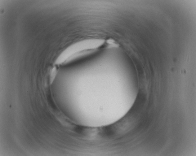 X0000083060131200702232031