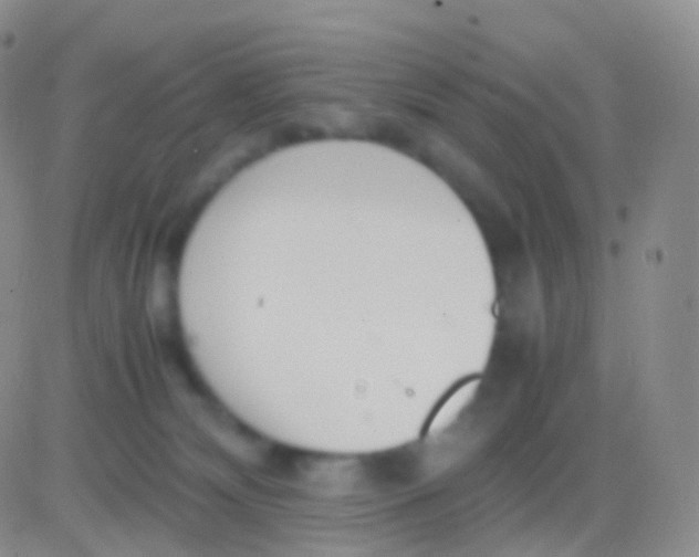 X0000083060132200702232031