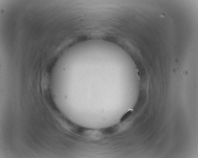 X0000083060133200702232031