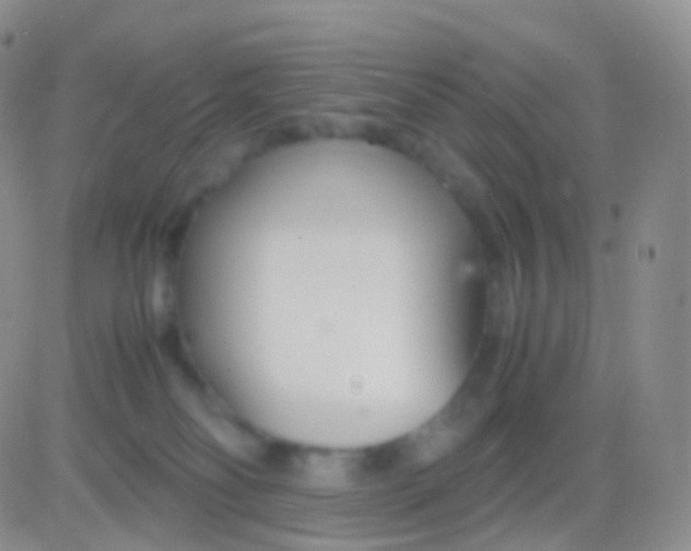 X0000083060134200702232031