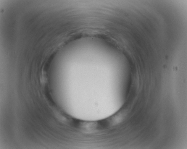 X0000083060135200702232031