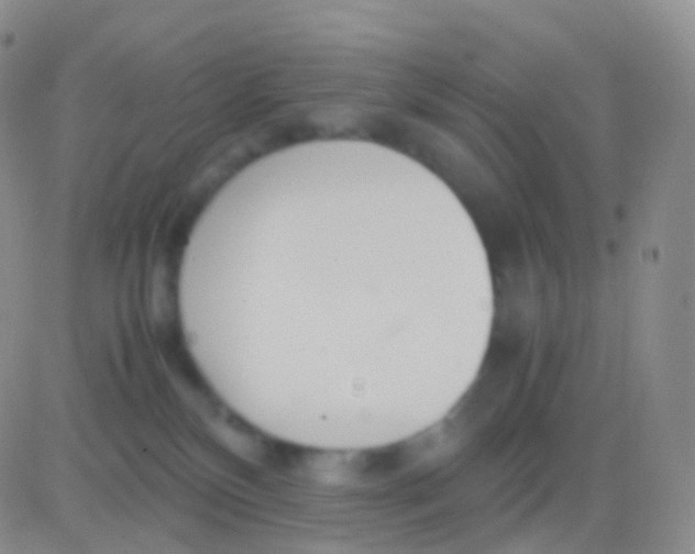 X0000083060136200702232031