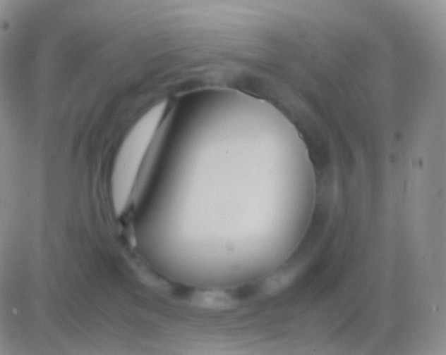 X0000083060137200702232031