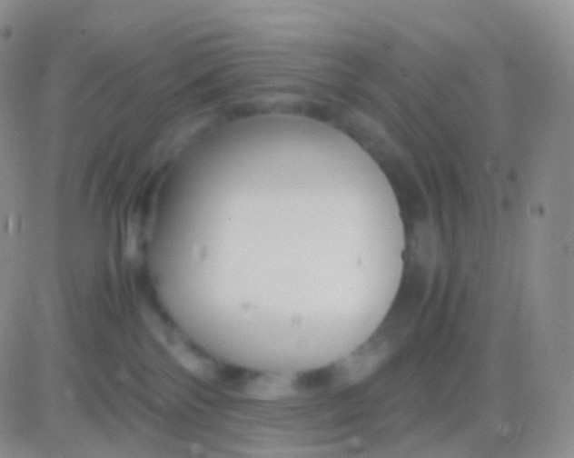 X0000083060138200702232031