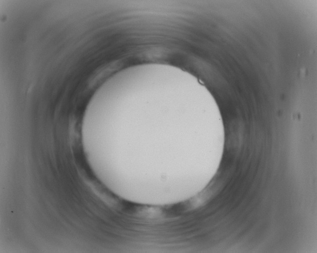 X0000083060140200702232031