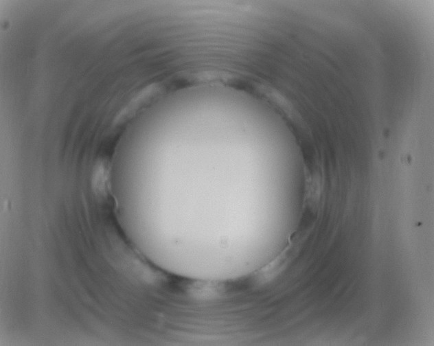 X0000083060142200702232031