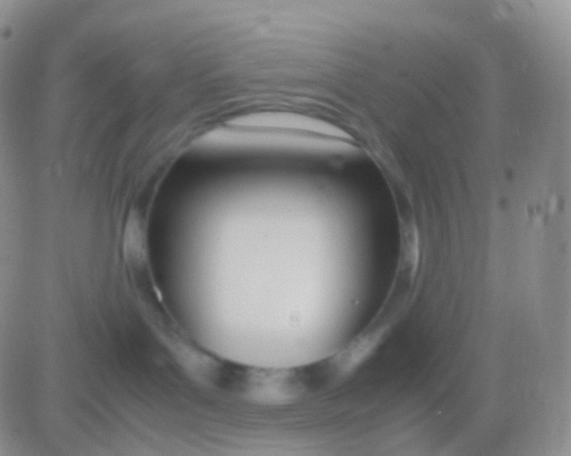 X0000083060143200702232031