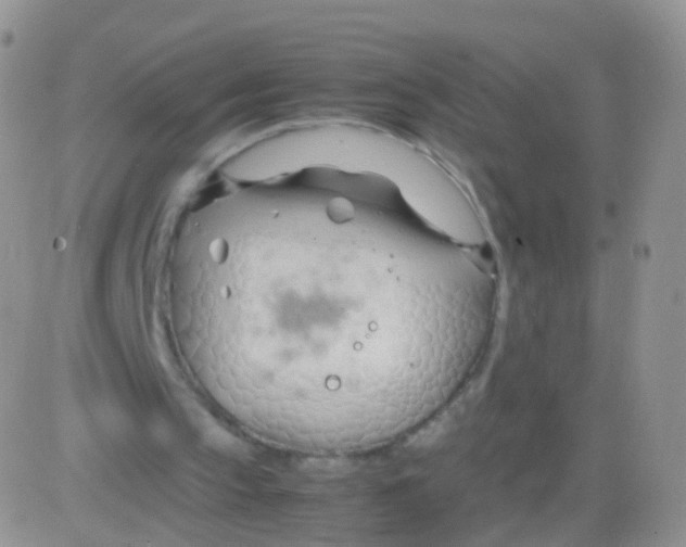 X0000083060145200702232030