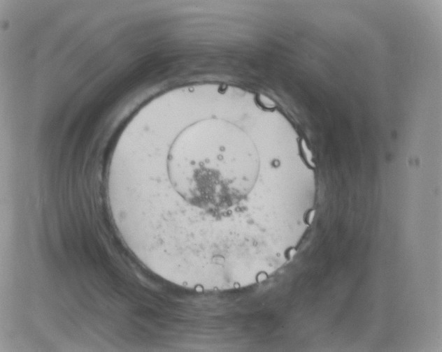 X0000083060146200702232030