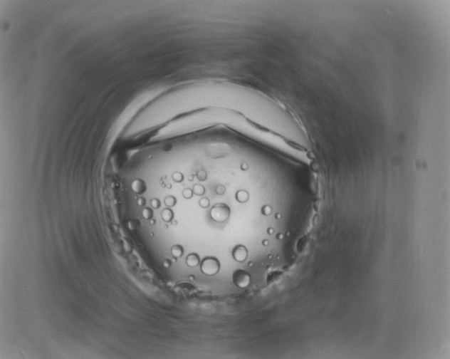 X0000083060147200702232030