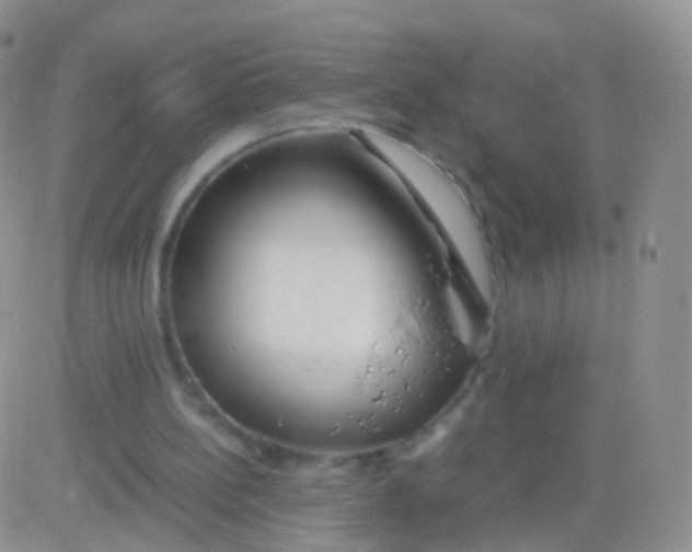 X0000083060148200702232030