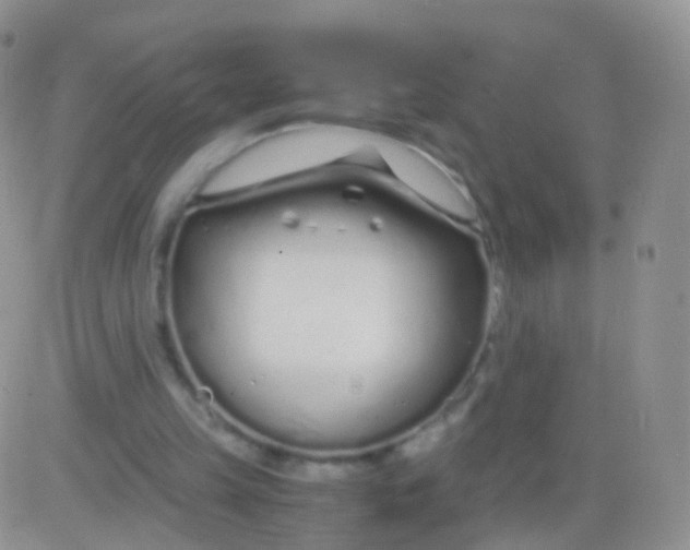 X0000083060149200702232030