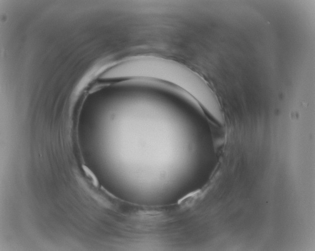 X0000083060150200702232030