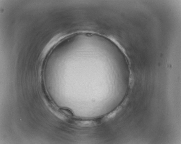 X0000083060151200702232030