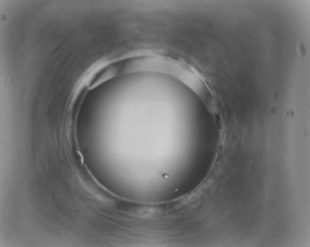 X0000083060152200702232030