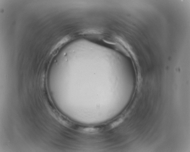 X0000083060153200702232030