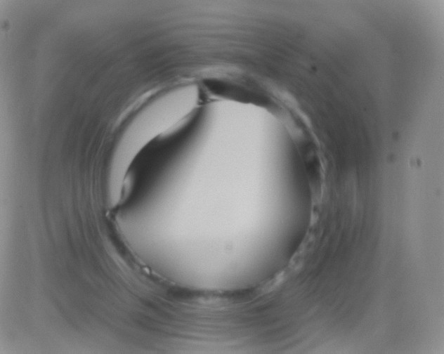 X0000083060154200702232030