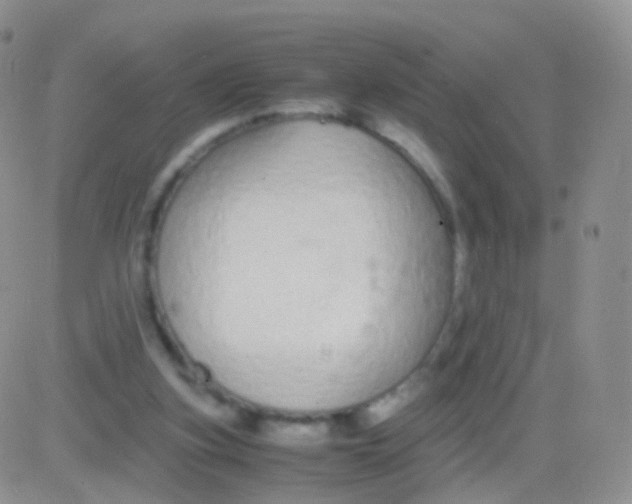 X0000083060155200702232030