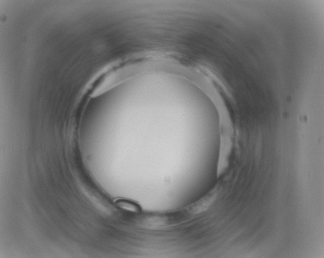 X0000083060156200702232030