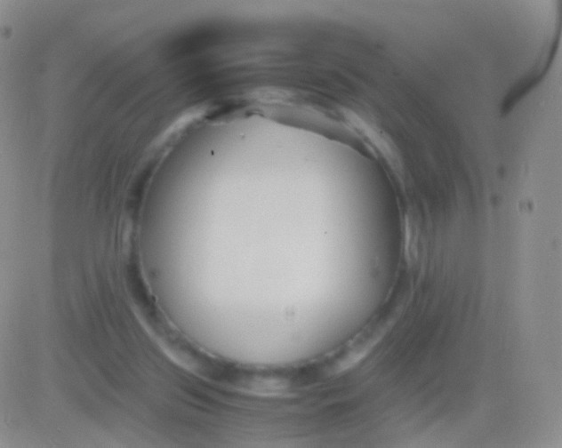 X0000083060157200702232030