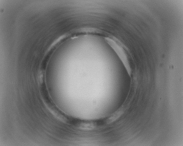 X0000083060160200702232030