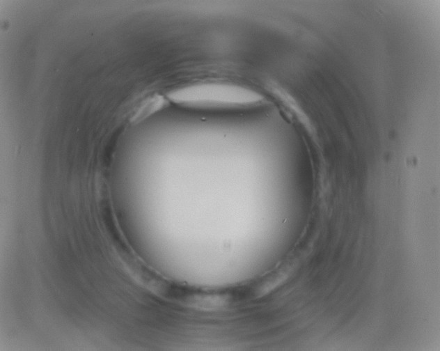 X0000083060161200702232030