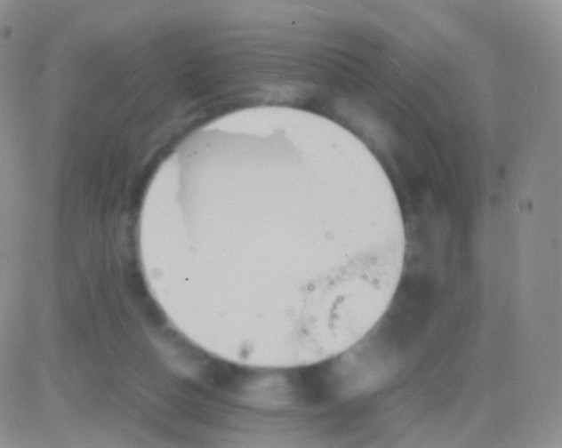 X0000083060162200702232030