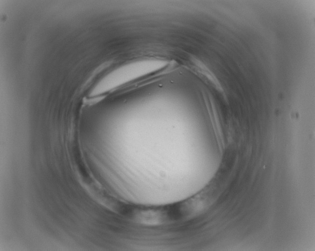 X0000083060163200702232030