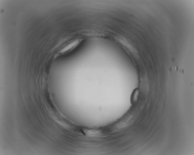 X0000083060165200702232030