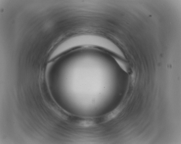 X0000083060168200702232030