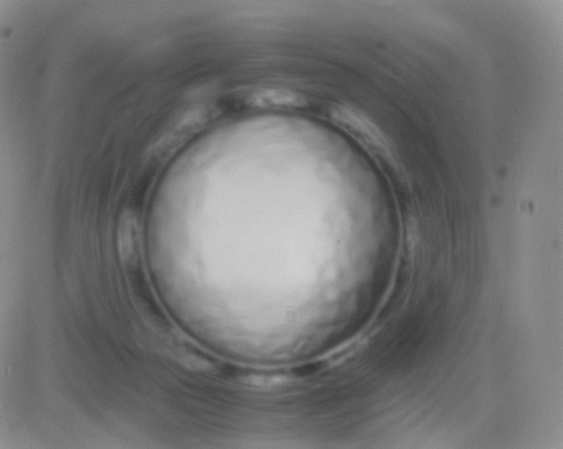 X0000083060169200702232030