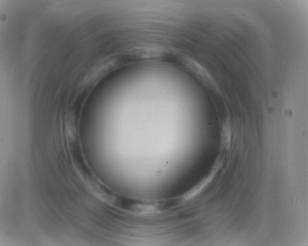 X0000083060170200702232030