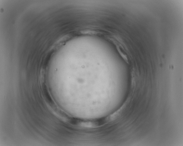 X0000083060171200702232030