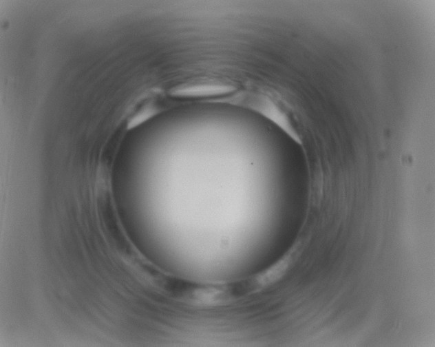 X0000083060172200702232030