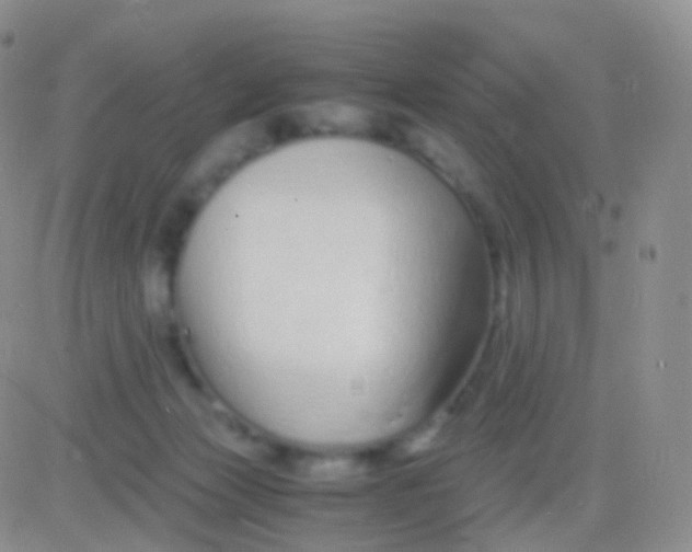 X0000083060173200702232030