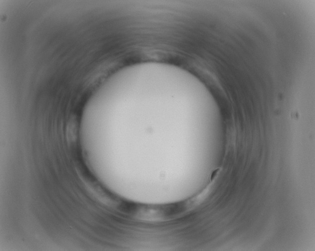 X0000083060174200702232030