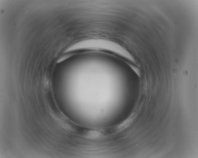 X0000083060176200702232030