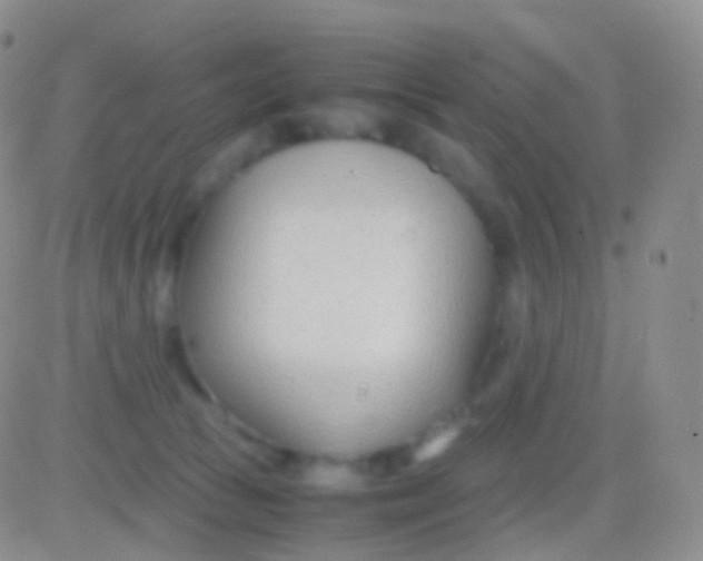 X0000083060177200702232030