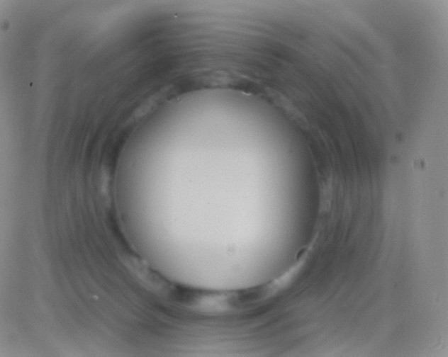 X0000083060178200702232030