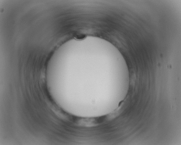 X0000083060179200702232030