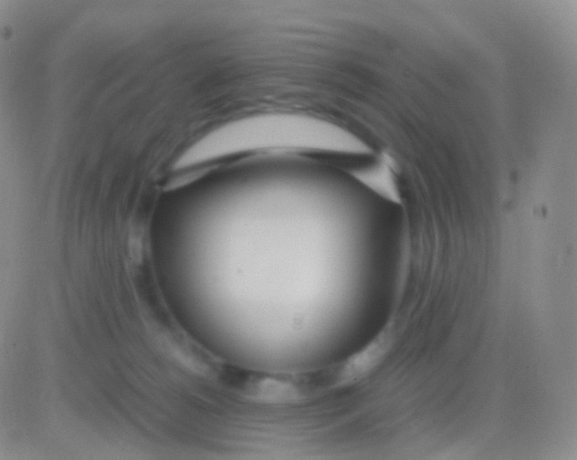 X0000083060180200702232030