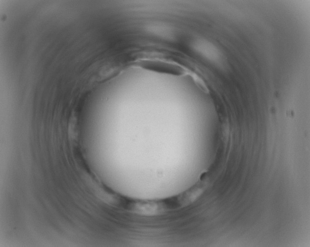 X0000083060181200702232030