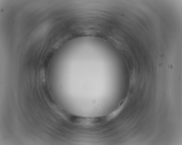 X0000083060182200702232030