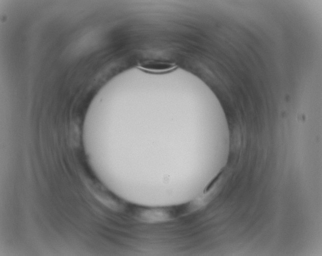 X0000083060183200702232030