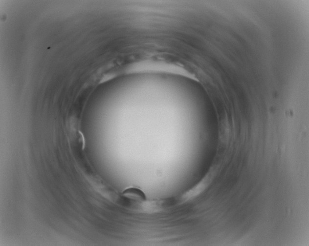 X0000083060184200702232030