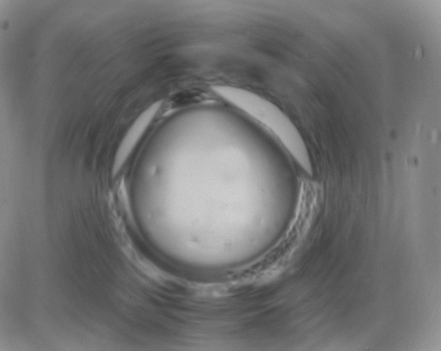 X0000083060185200702232030